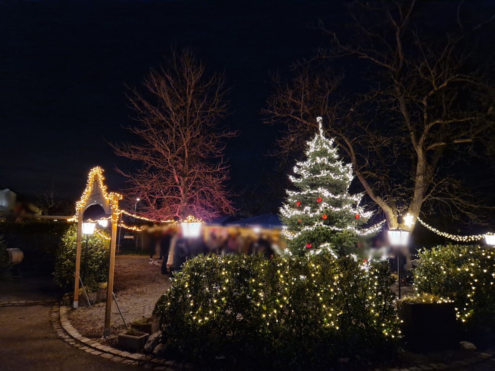 Geschmückter Christbaum im winterlichen Biergarten